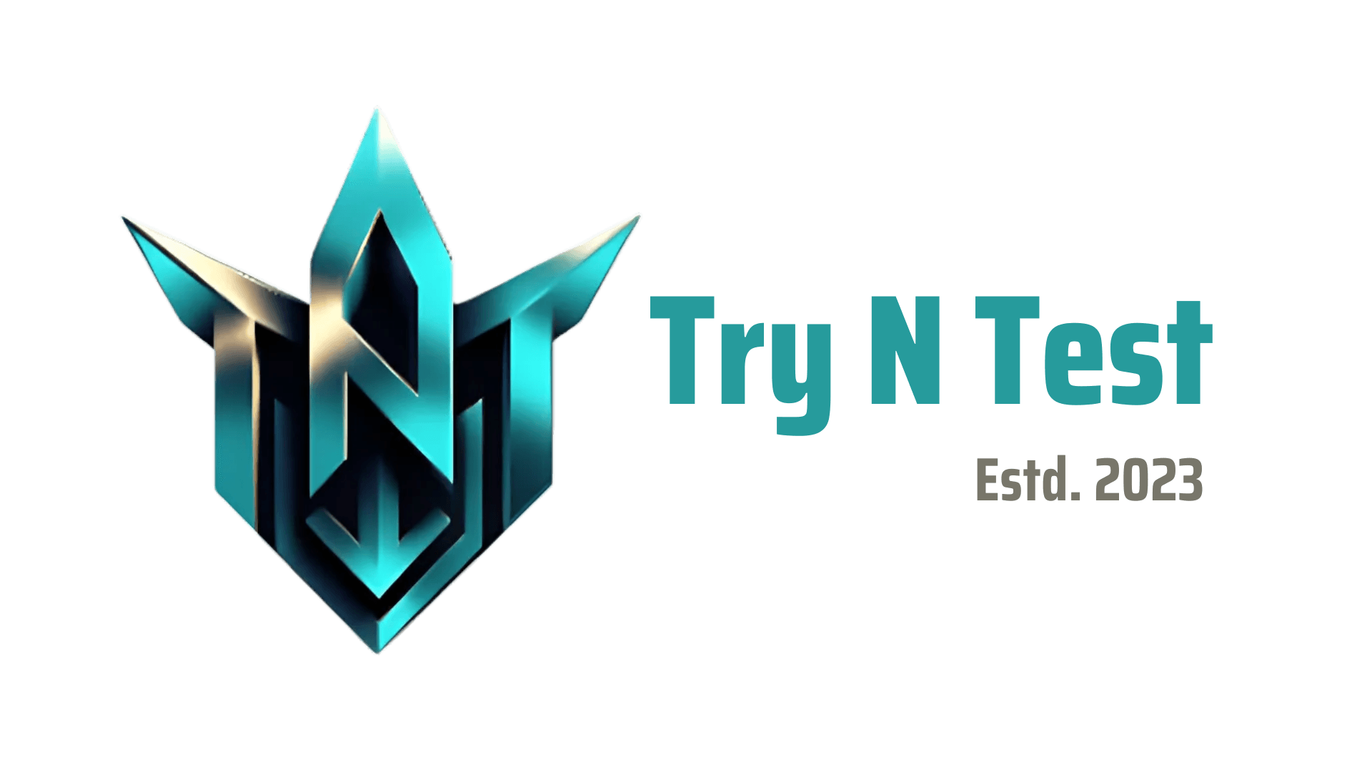 Try N Test Foundation Logo